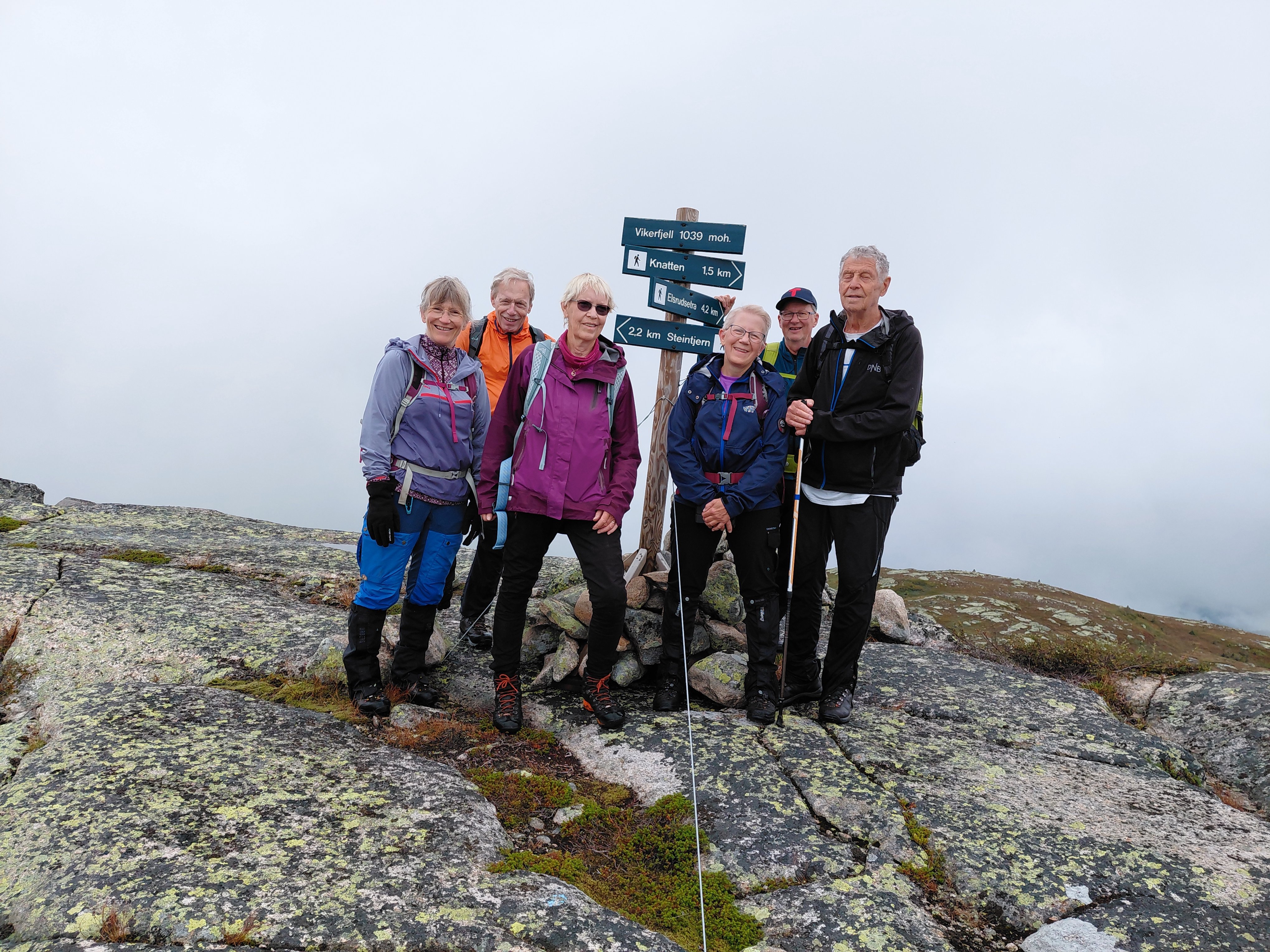 Vikerfjell