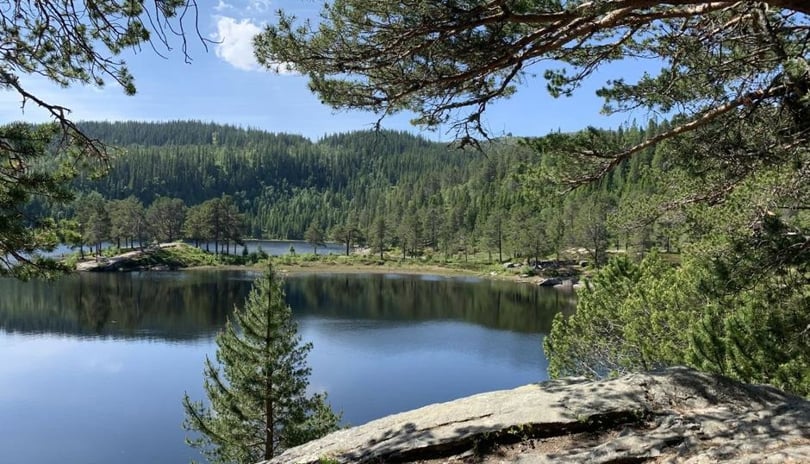 Bilde av et tjern omringet av små klipper og skog. sommer og fint vær.