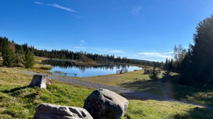 Onsdagsgruppa på tur.