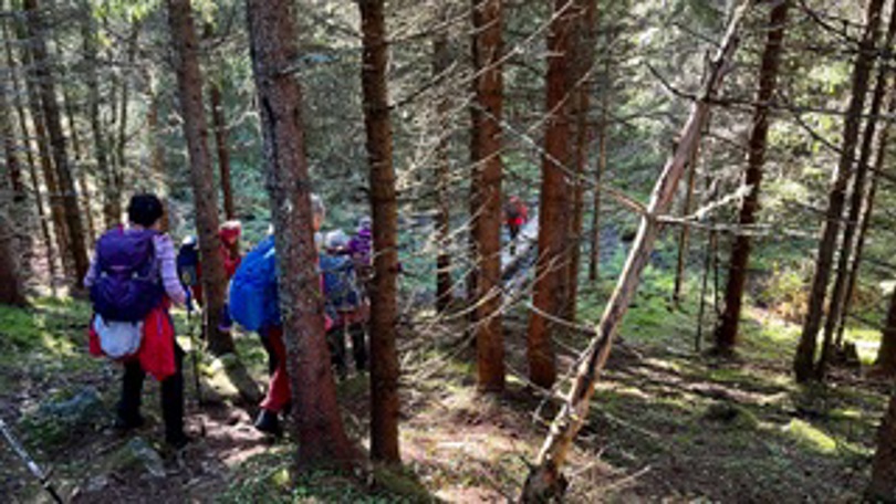 Onsdagsgruppa på tur.
