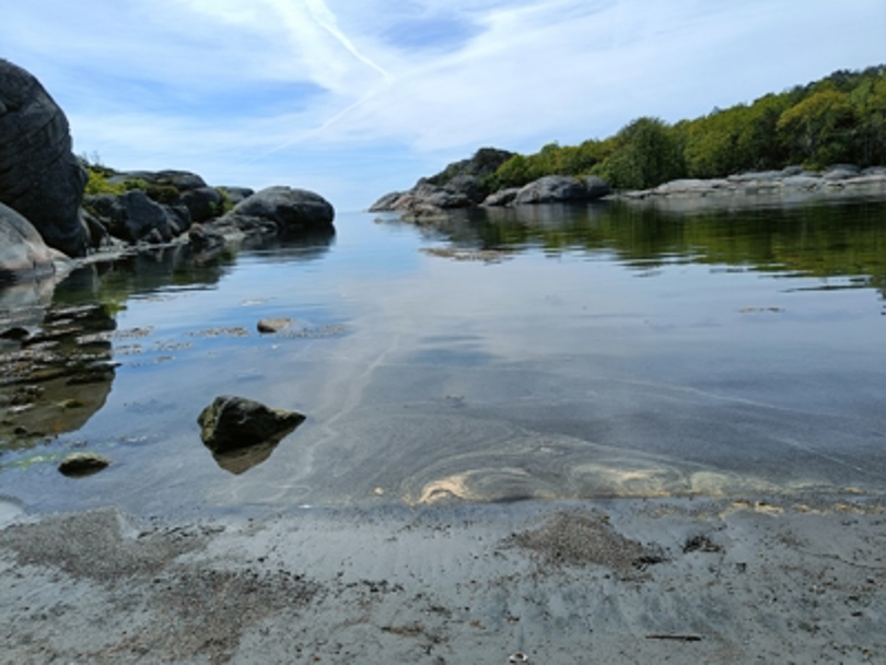 Idyll