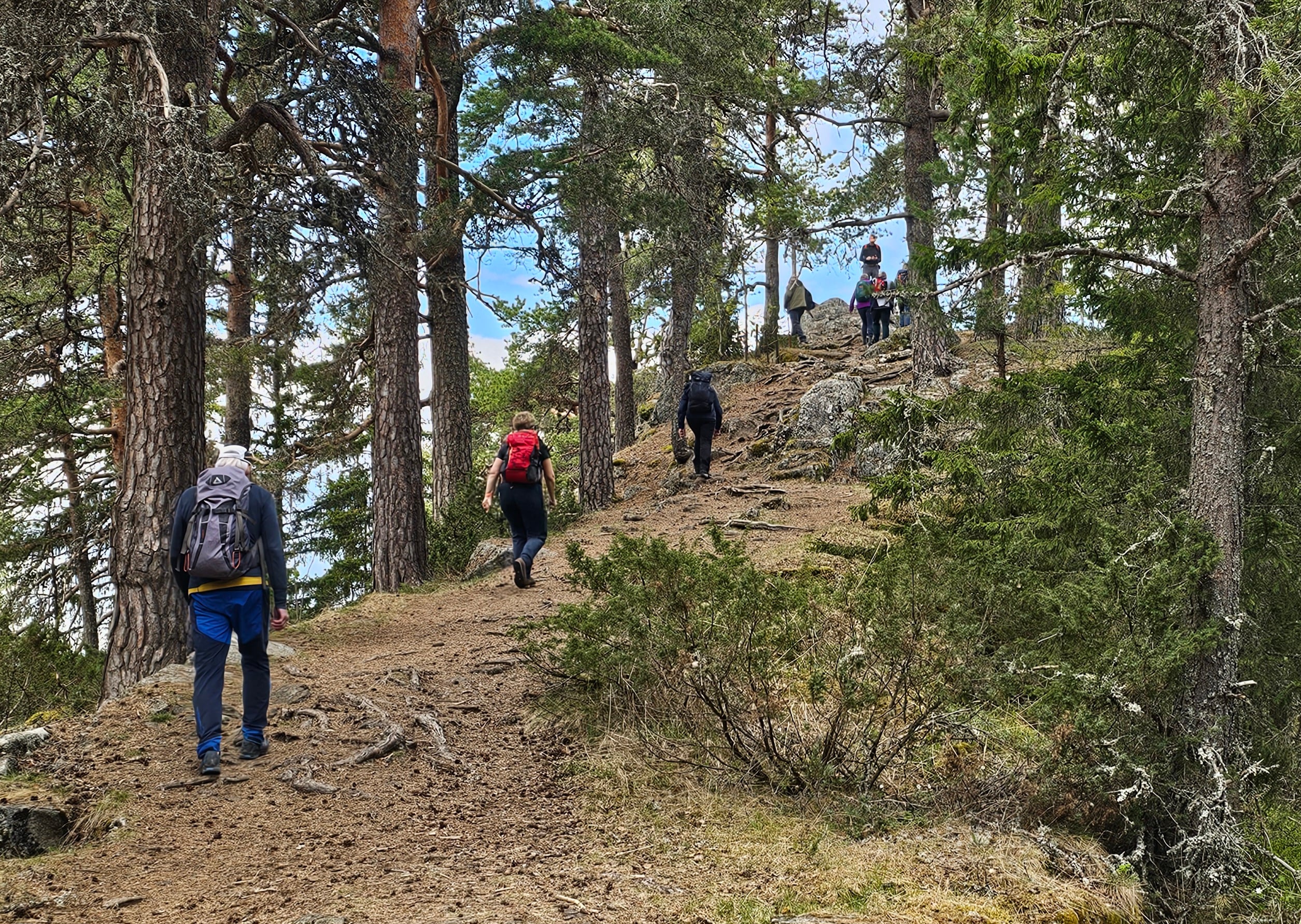 S&oslash;lvsberget