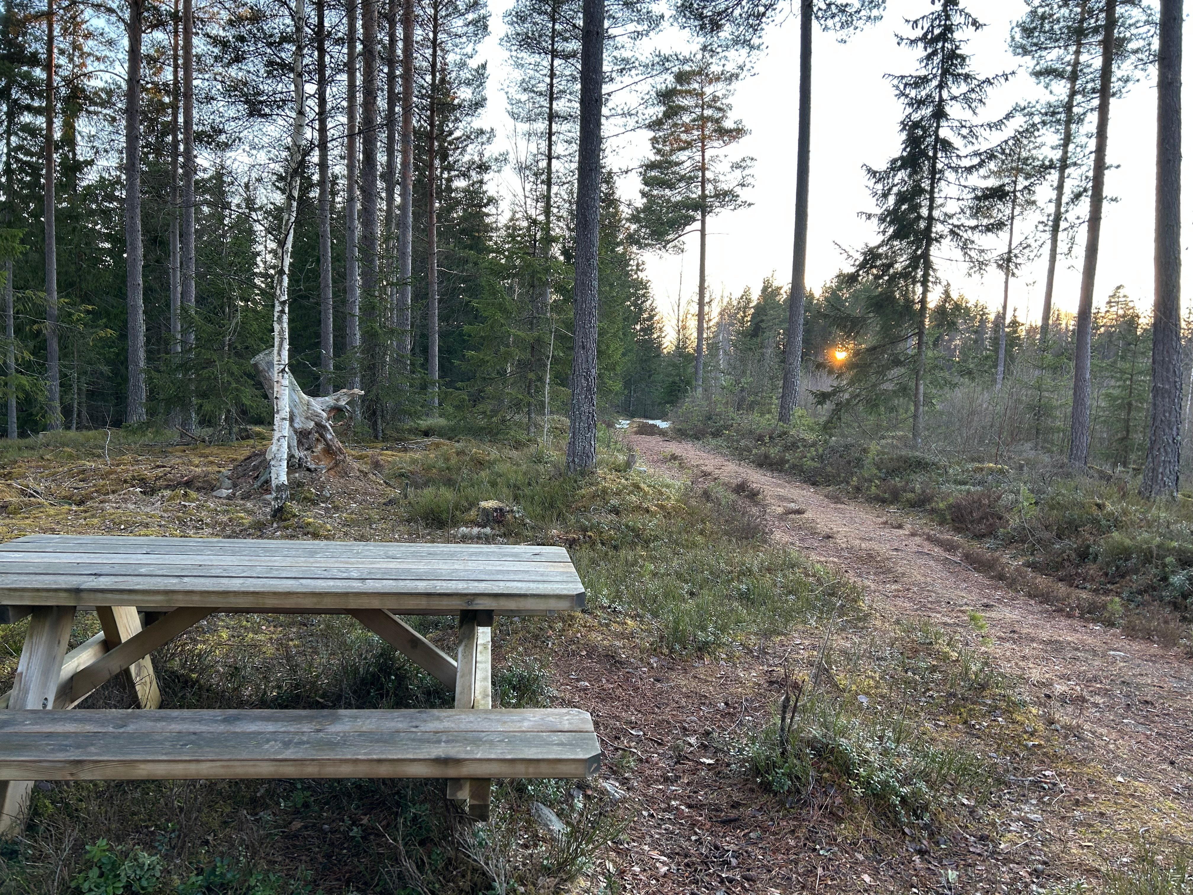 Turposthefter i fire kommuner i Hamarregionen