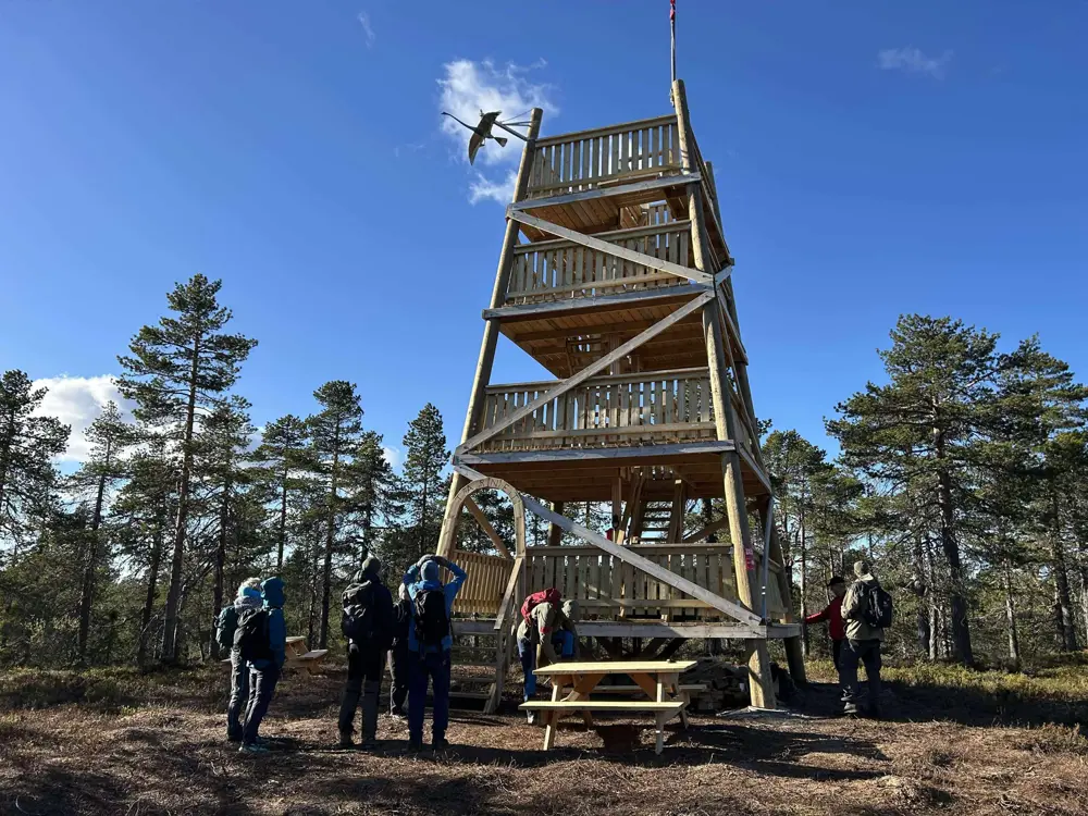 Tårnet på Savalsæterkjølen