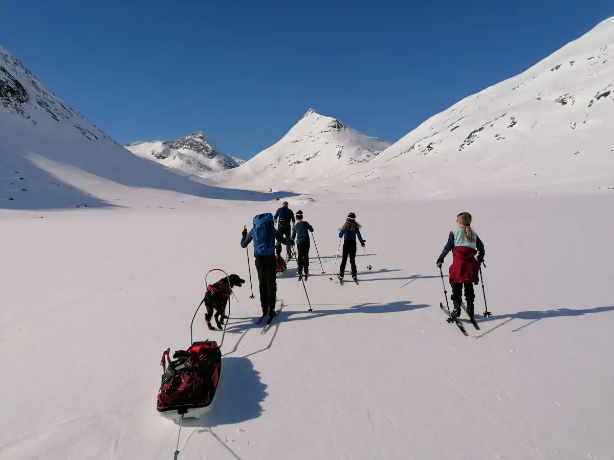 Turfølge på ski med pulk går i vakkert vinterlandskap.