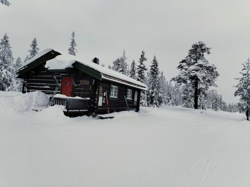 Blåmyrkoia