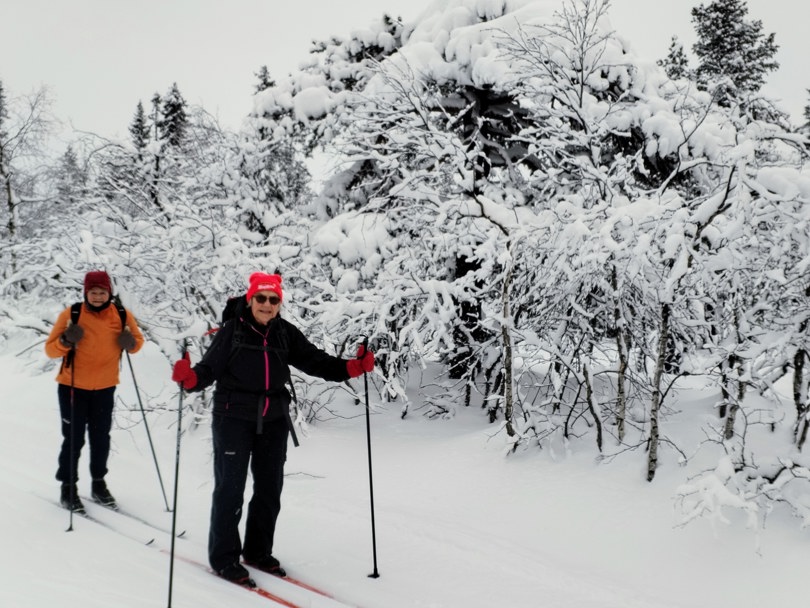 To skiløpere på tur