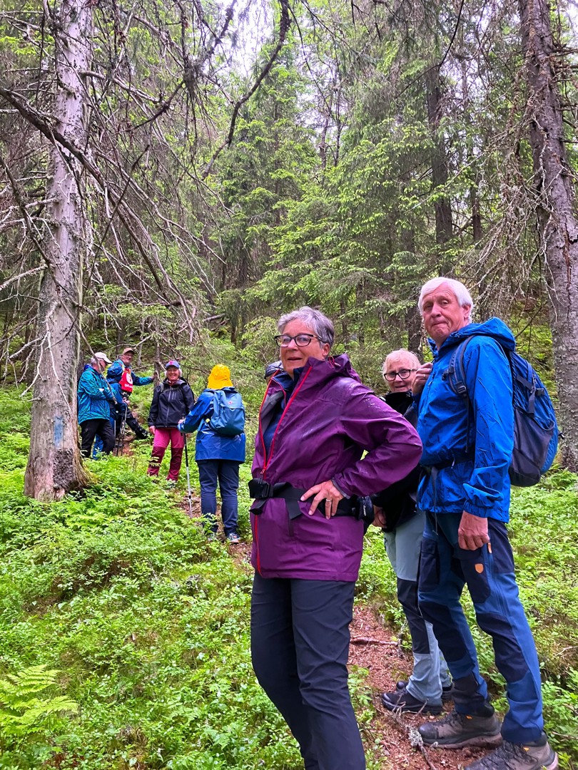Før Lusdalskollen
