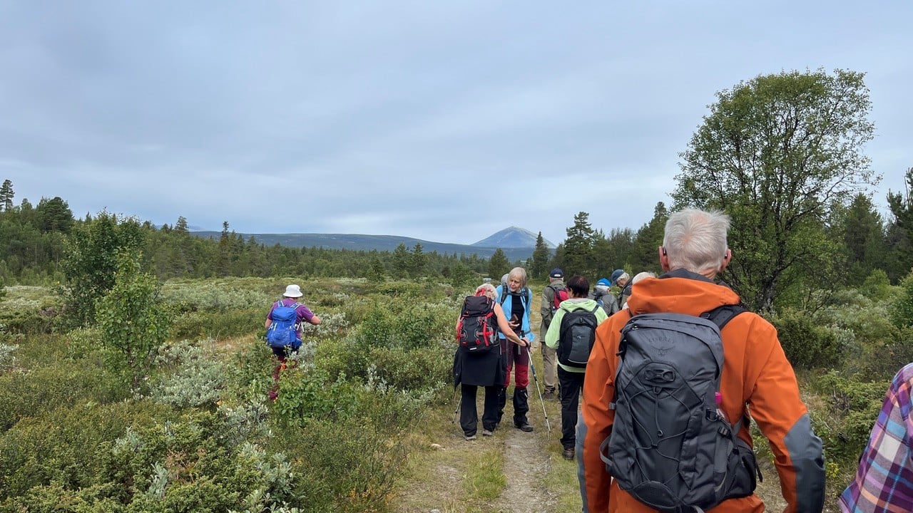 Onsdagsgruppa p&aring; fjelltur
