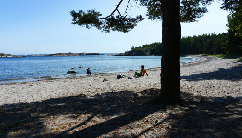 Person i grønn shorts sitter på en sandstrand. I forgrunn av bildet står stammen av et stort furutre.