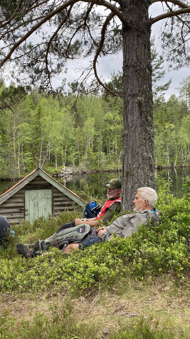 I lyngen ved Grytingen