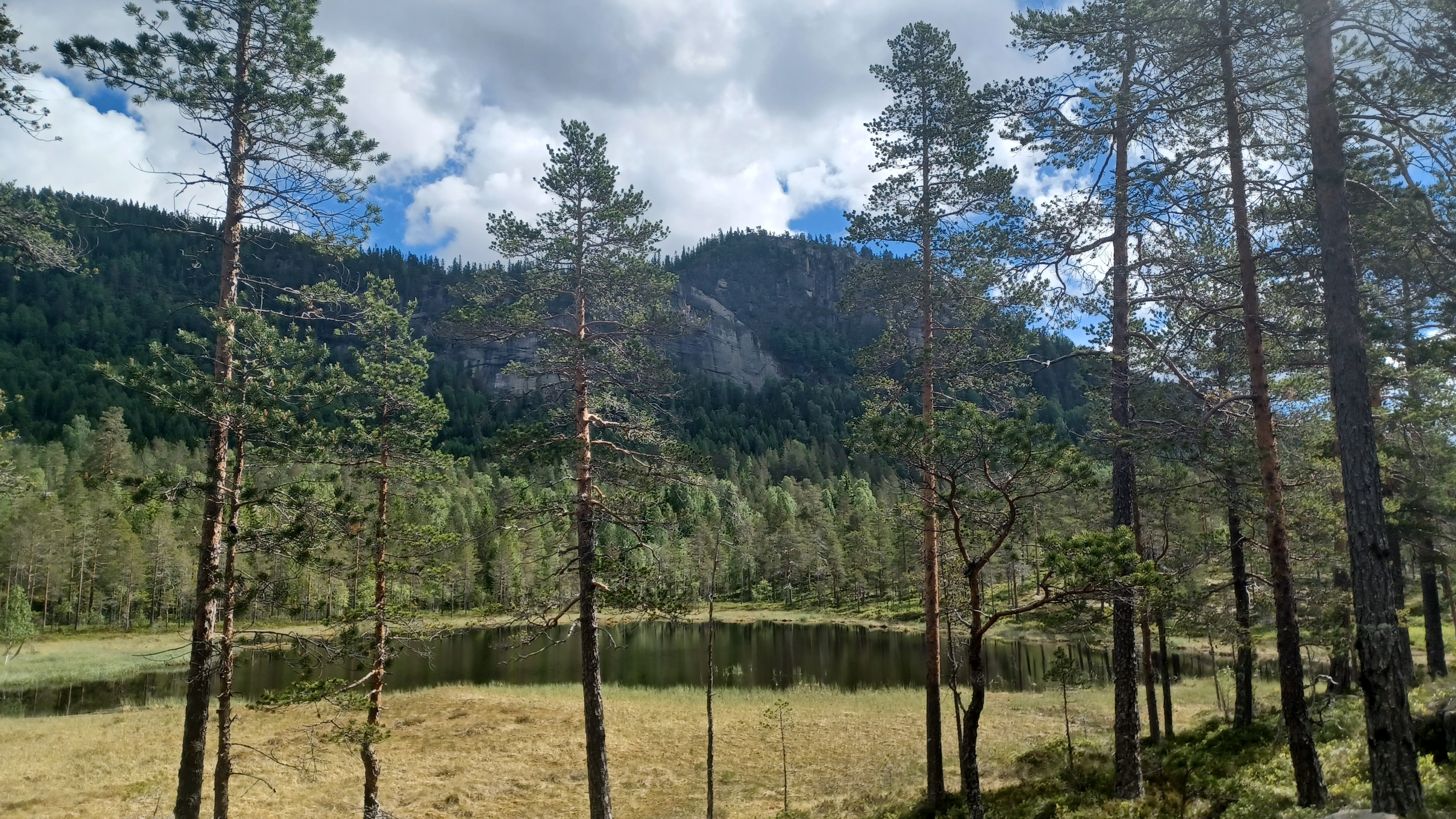 Utsikt mot Tjuvenborgen. Foto: Karsten Lien