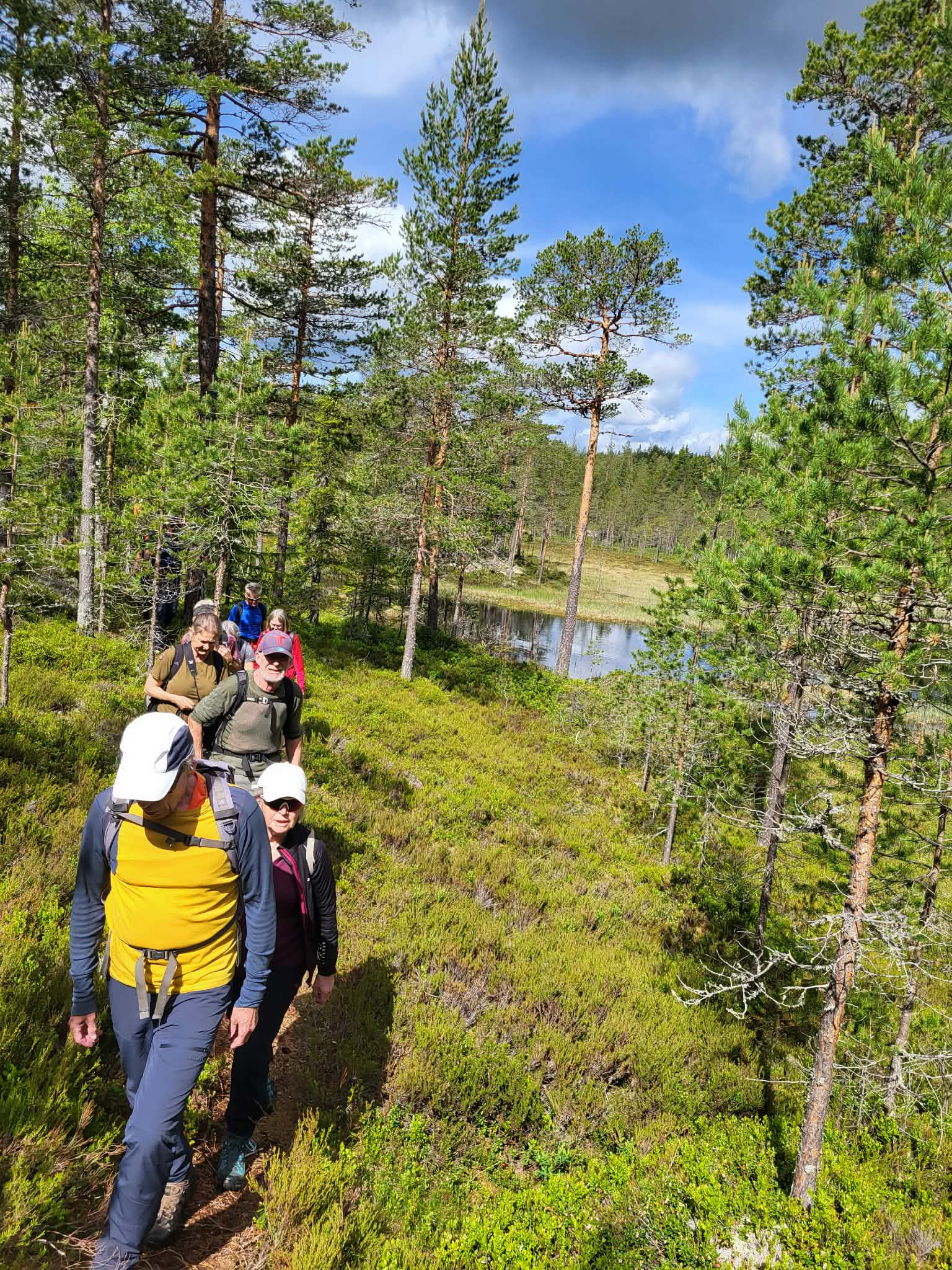 Vakkert ved Vestre Tjuvenborgtjern. Foto: Vigdis &Oslash;ie
