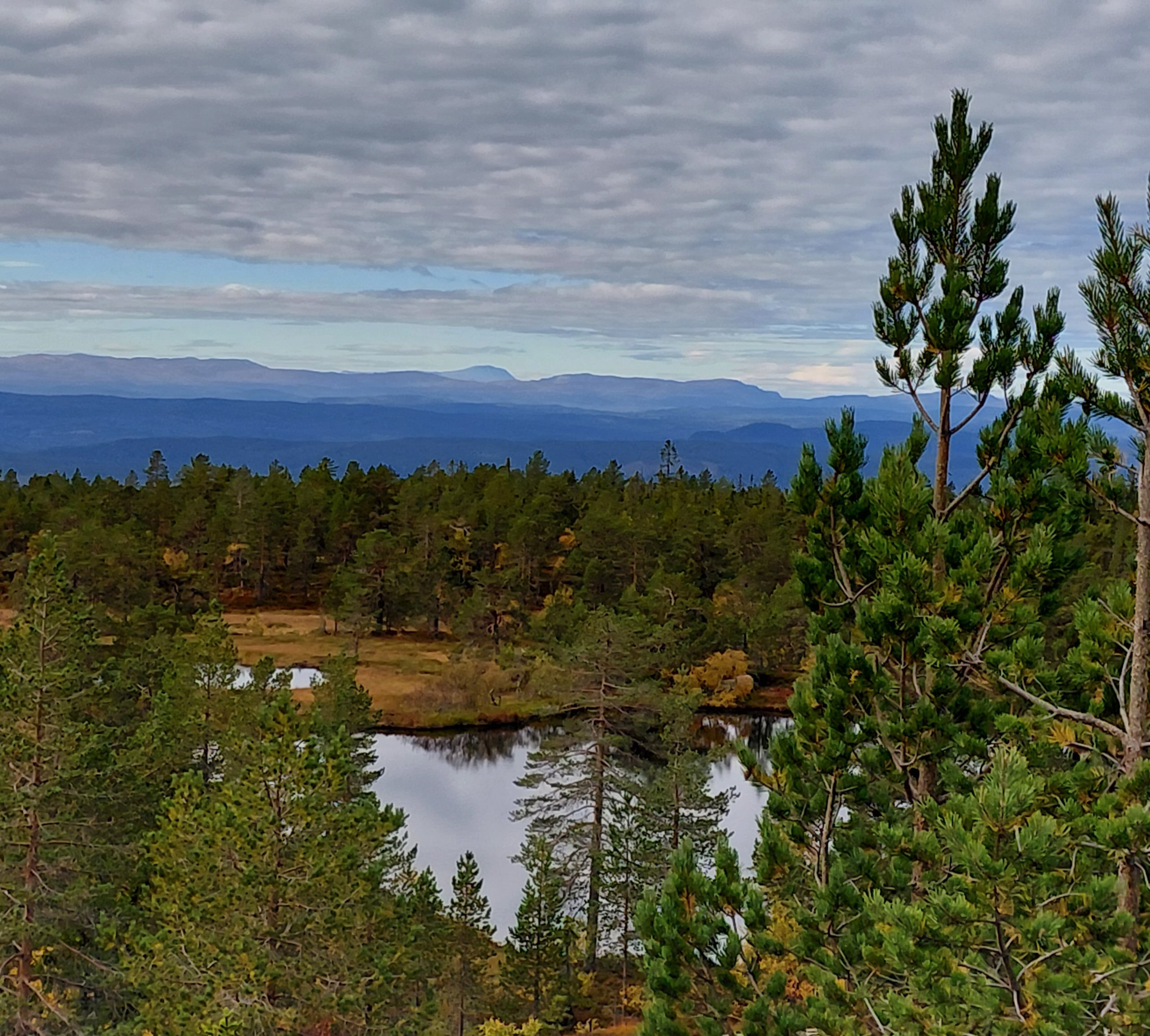 Flott utsikt mot Vegglifjell og Blefjell, Gaustatoppen midt imellom&nbsp;