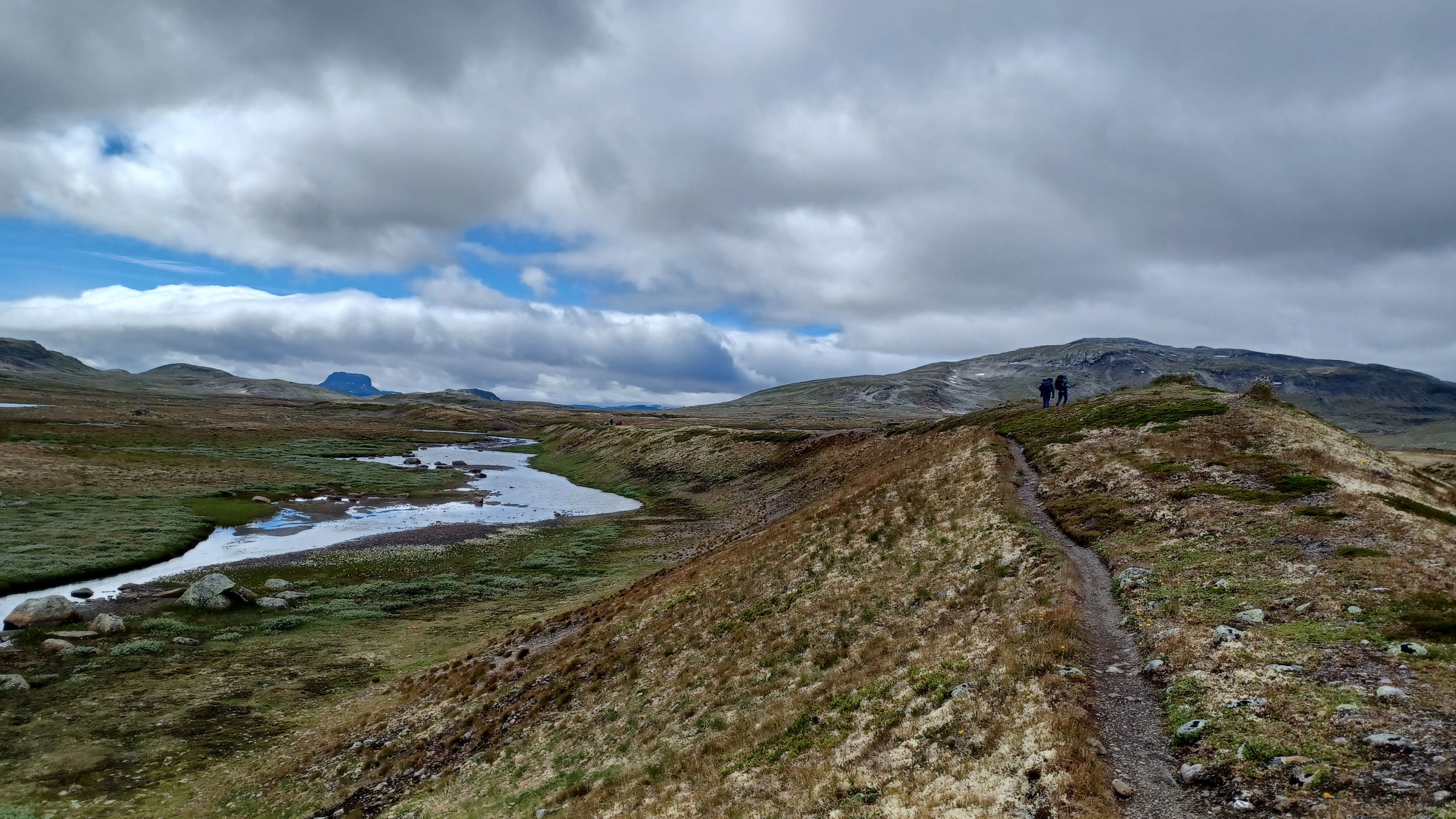 Langs S&oslash;rfjordingsrindane (en flott esker), mot H&aring;rteigen. Foto: Karsten Lien