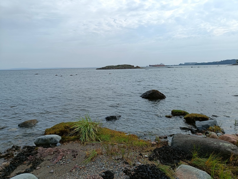 Feskjær 1