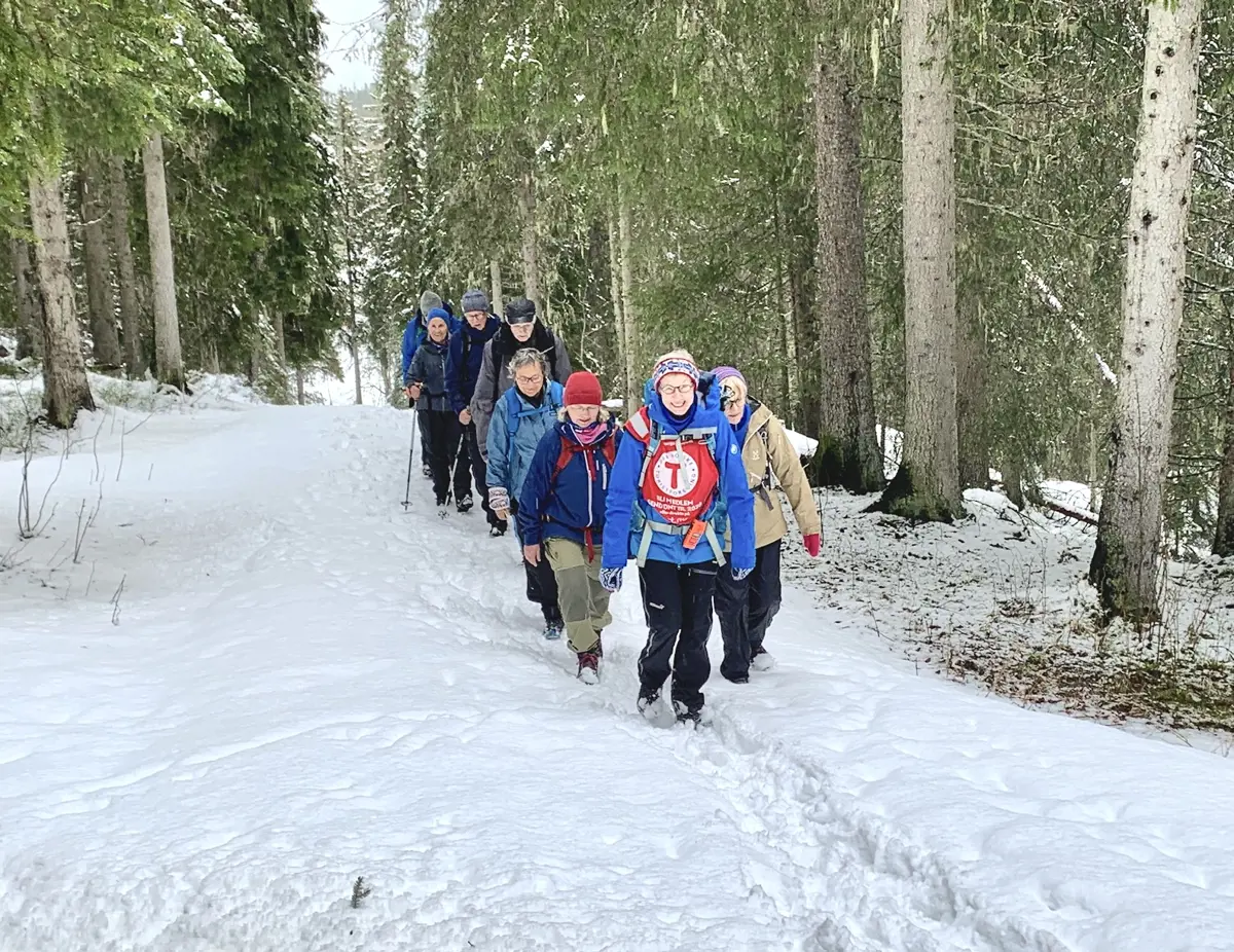 En gruppe mennesker på tur langs en bred sti i skogen, det er vinter og snø på bakken.