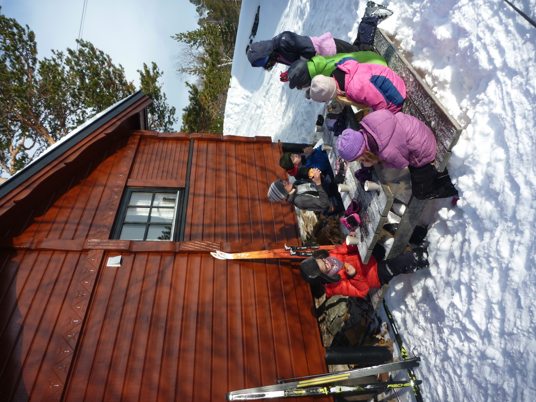 En gruppe barn sitter på en benk med bord og spiser mat. De er vinterkledte, og det er en hyttevegg i bakgrunnen. Det står noen ski lent opp mot veggen. 