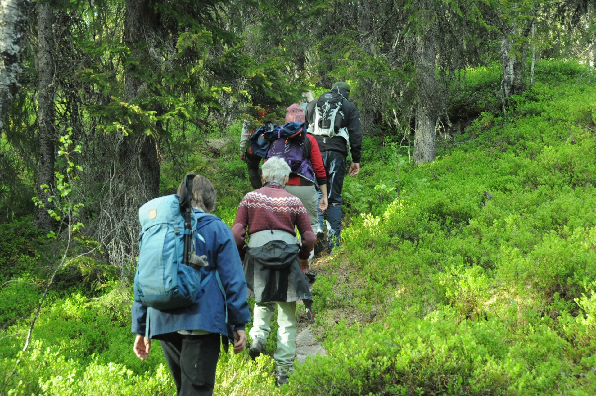 P&aring; vei opp til Snyten