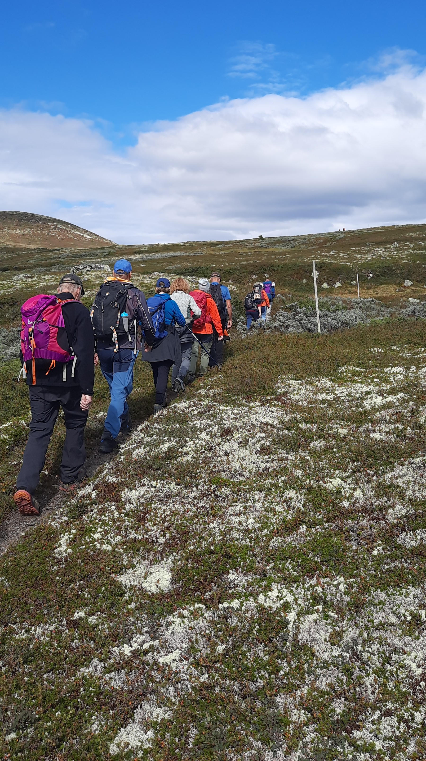 I snaufjellet langs Stonglina