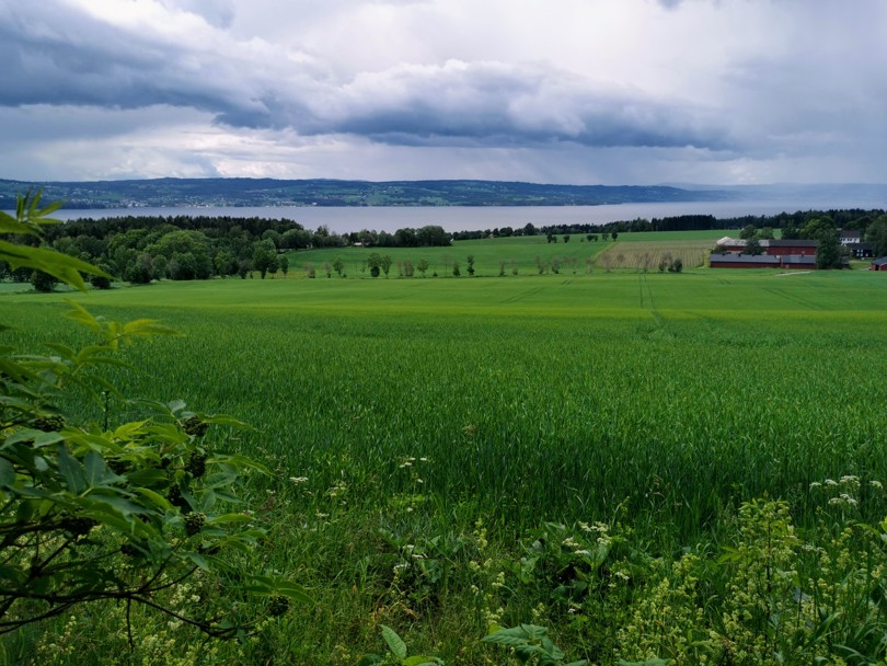 Vakre Helgøya