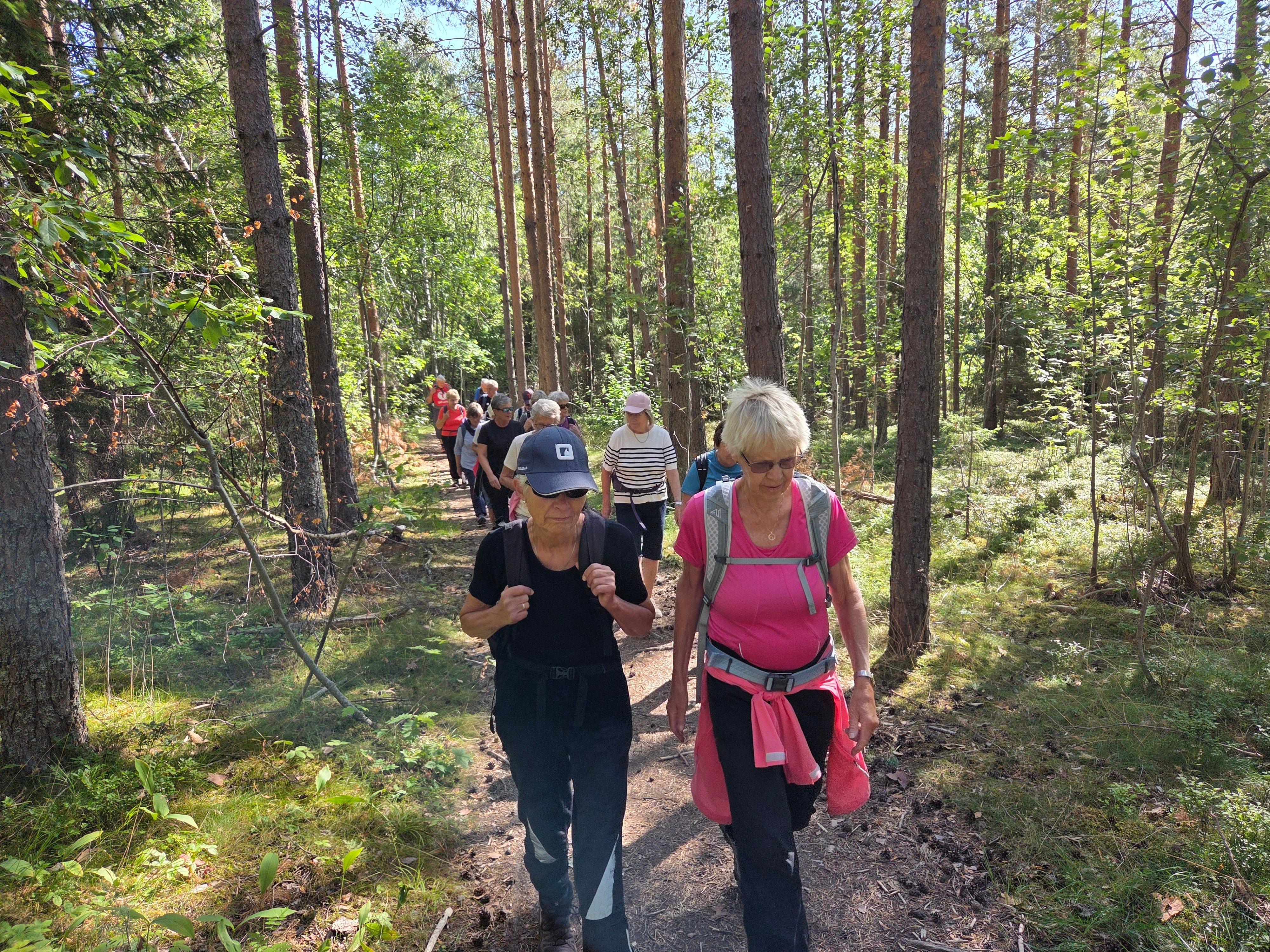 Viksåsen