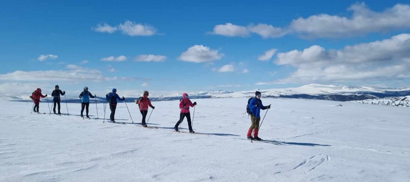 7 skiløpere på lang rekke