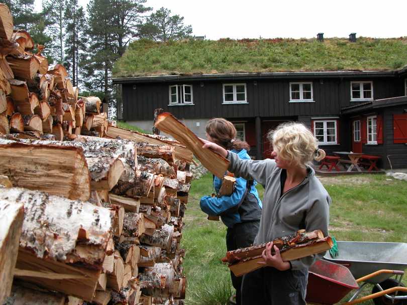 Veddugand på Trollheimshytta i 2007.
