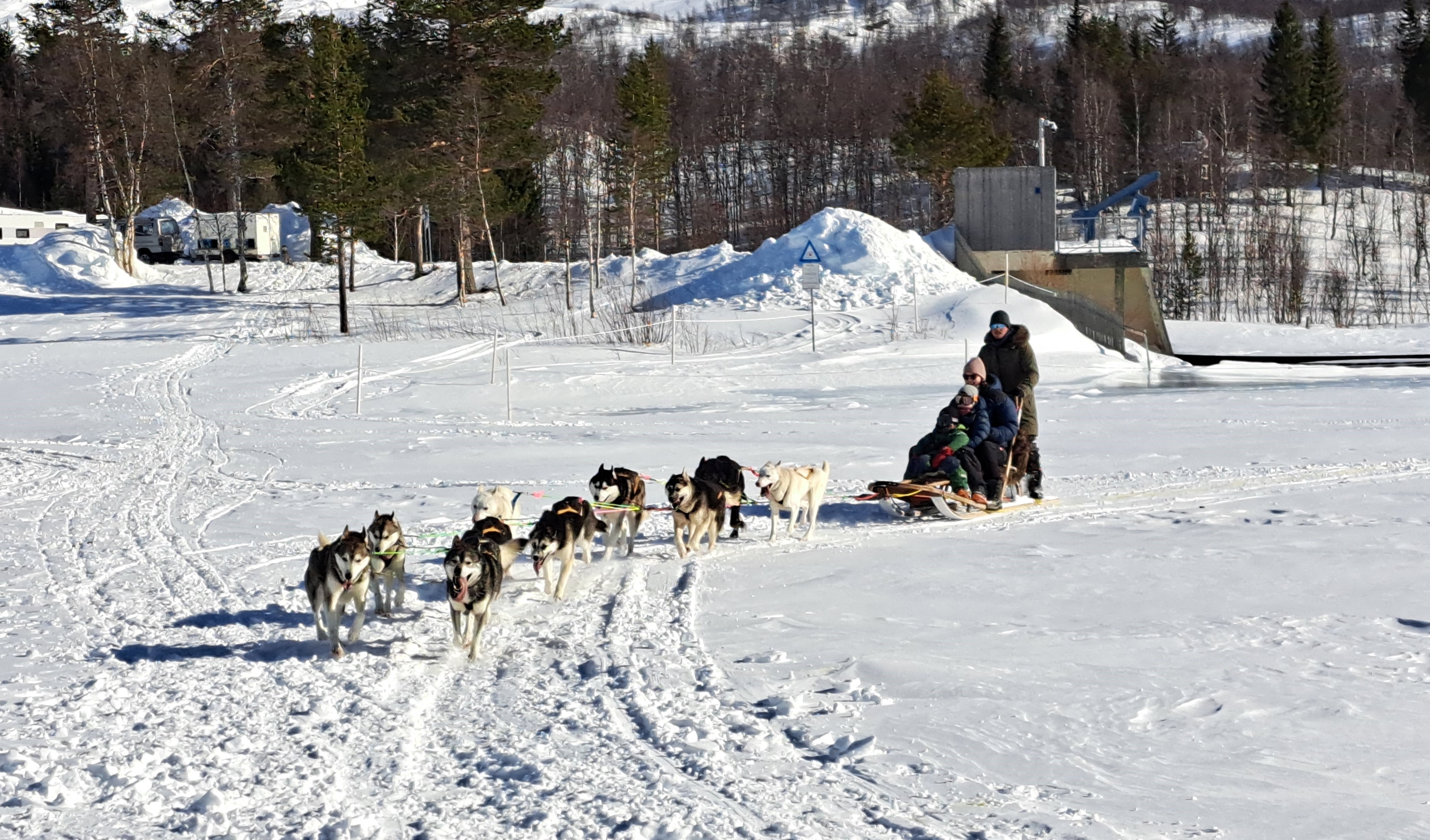 Et hundespann med fører og pasasjer. Det er vinter og mye snø.