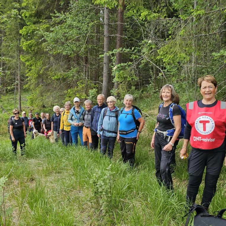 Opp fra Simensbråtan