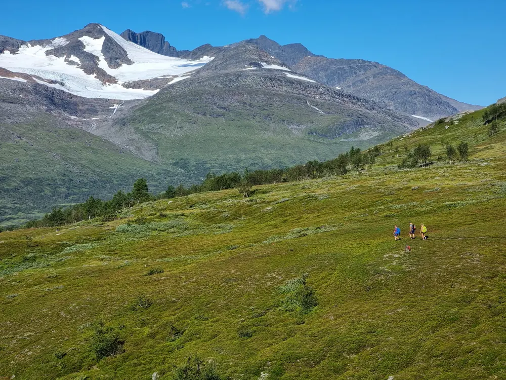 Spjeltfjelldalen