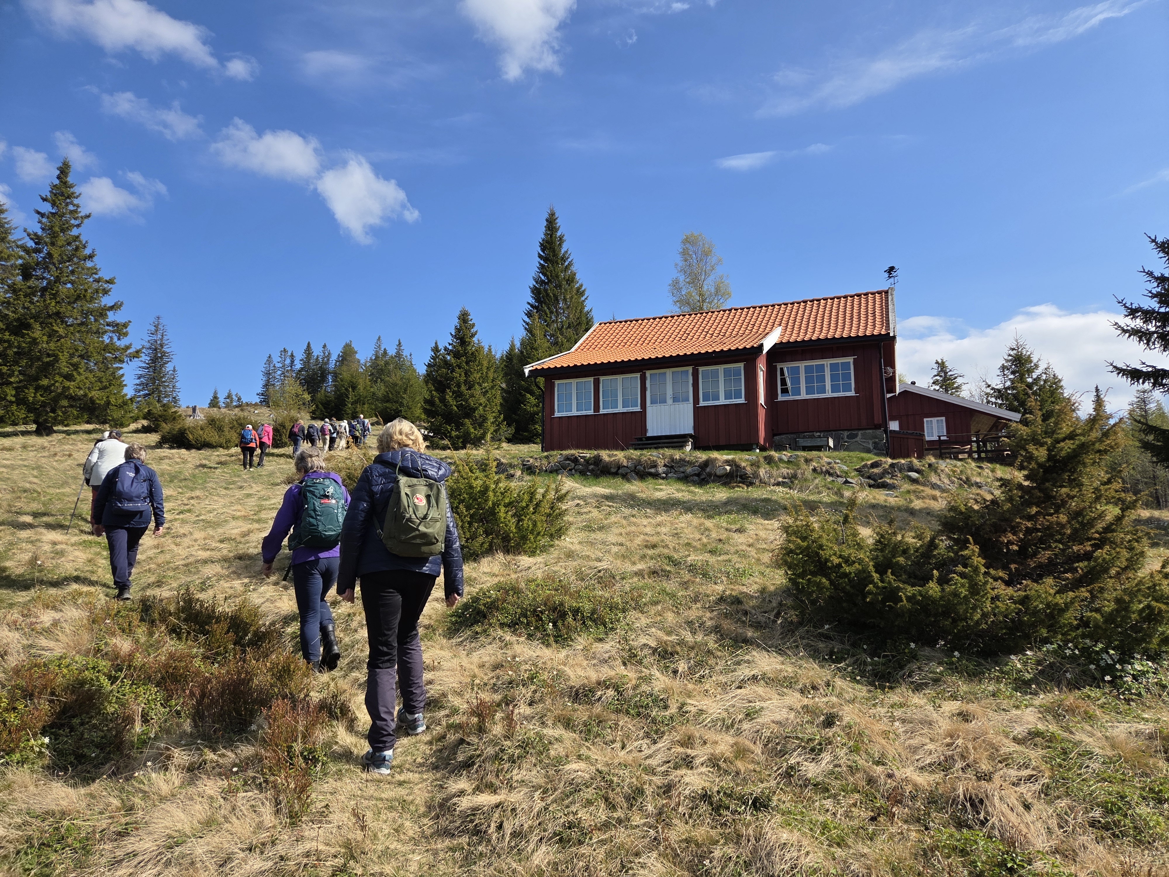Bølgensetra