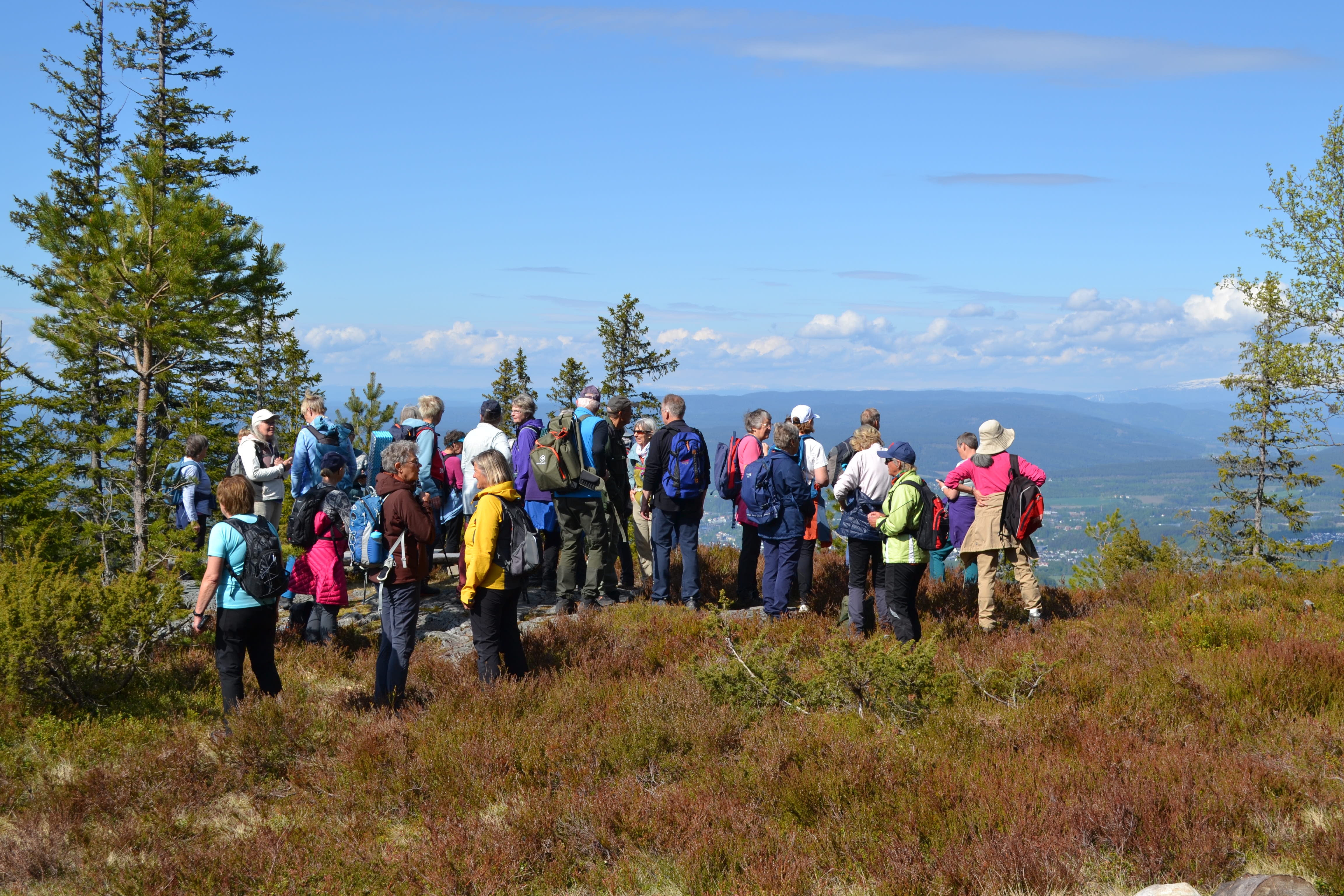 Utsikt mot Norefjell og Vikerfjell