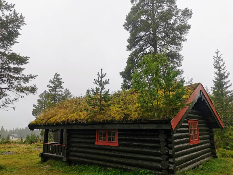 Onsdagsgruppa 