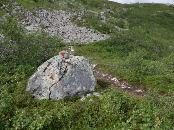 Stein merket med T