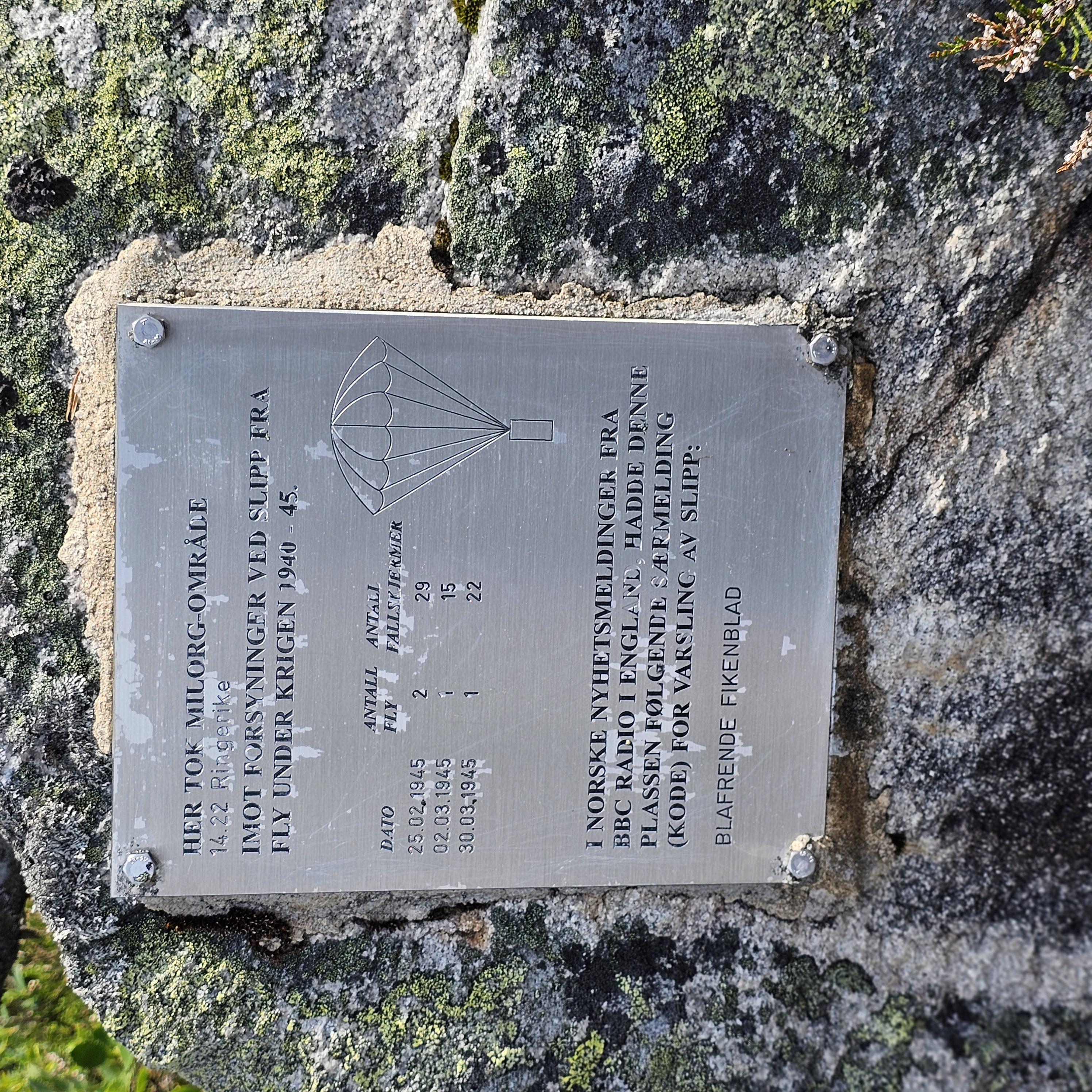 Plate