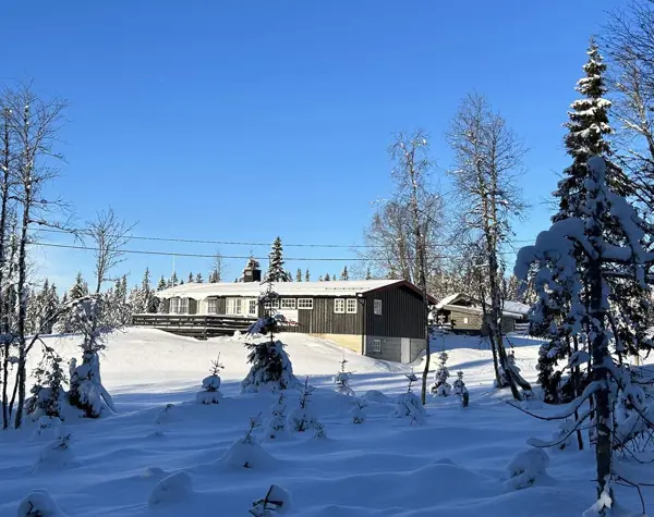 Lageråkvisla
