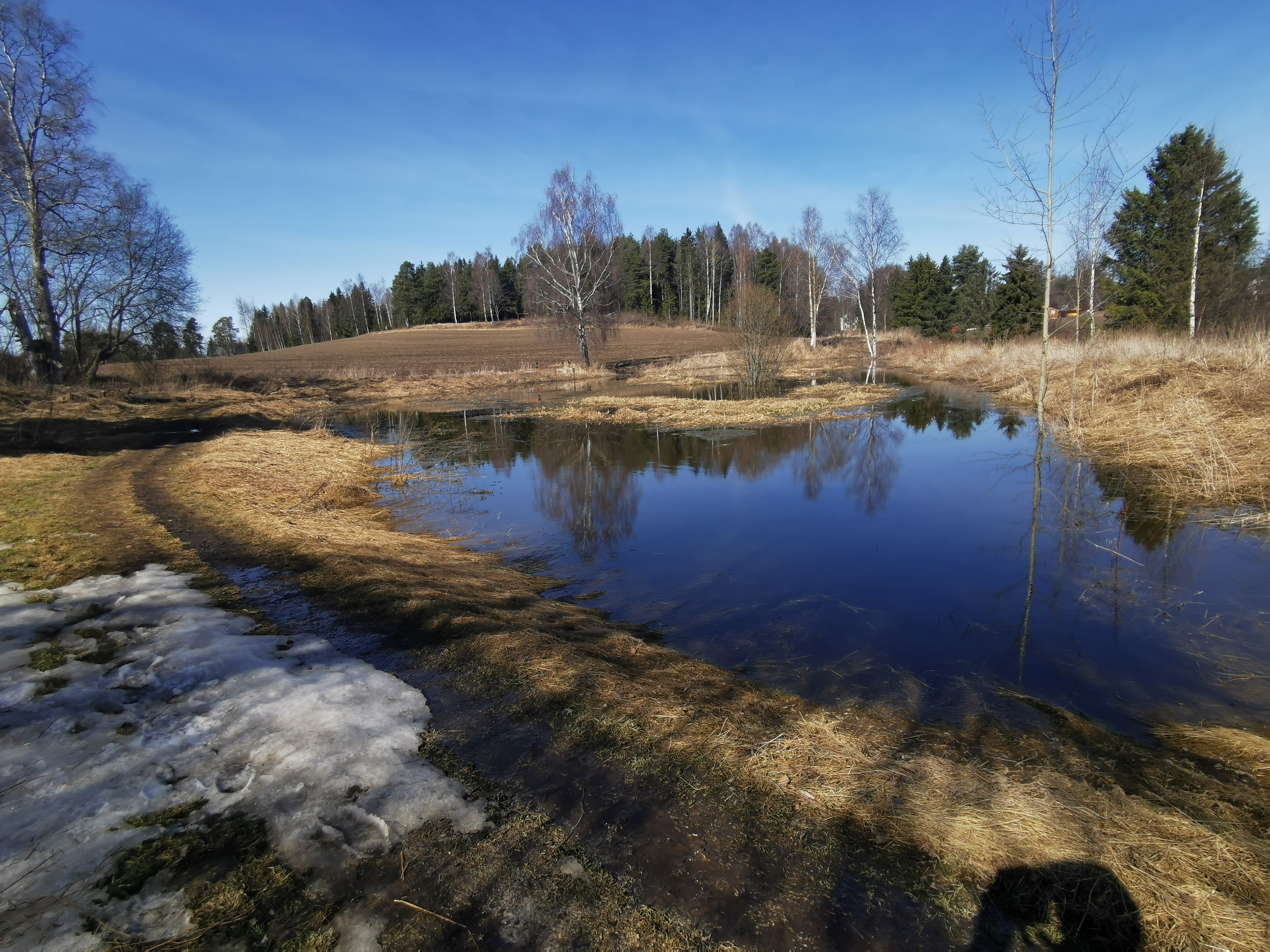Froskedam