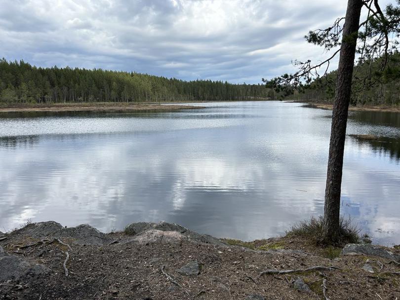 Tjern i Mosjømarka