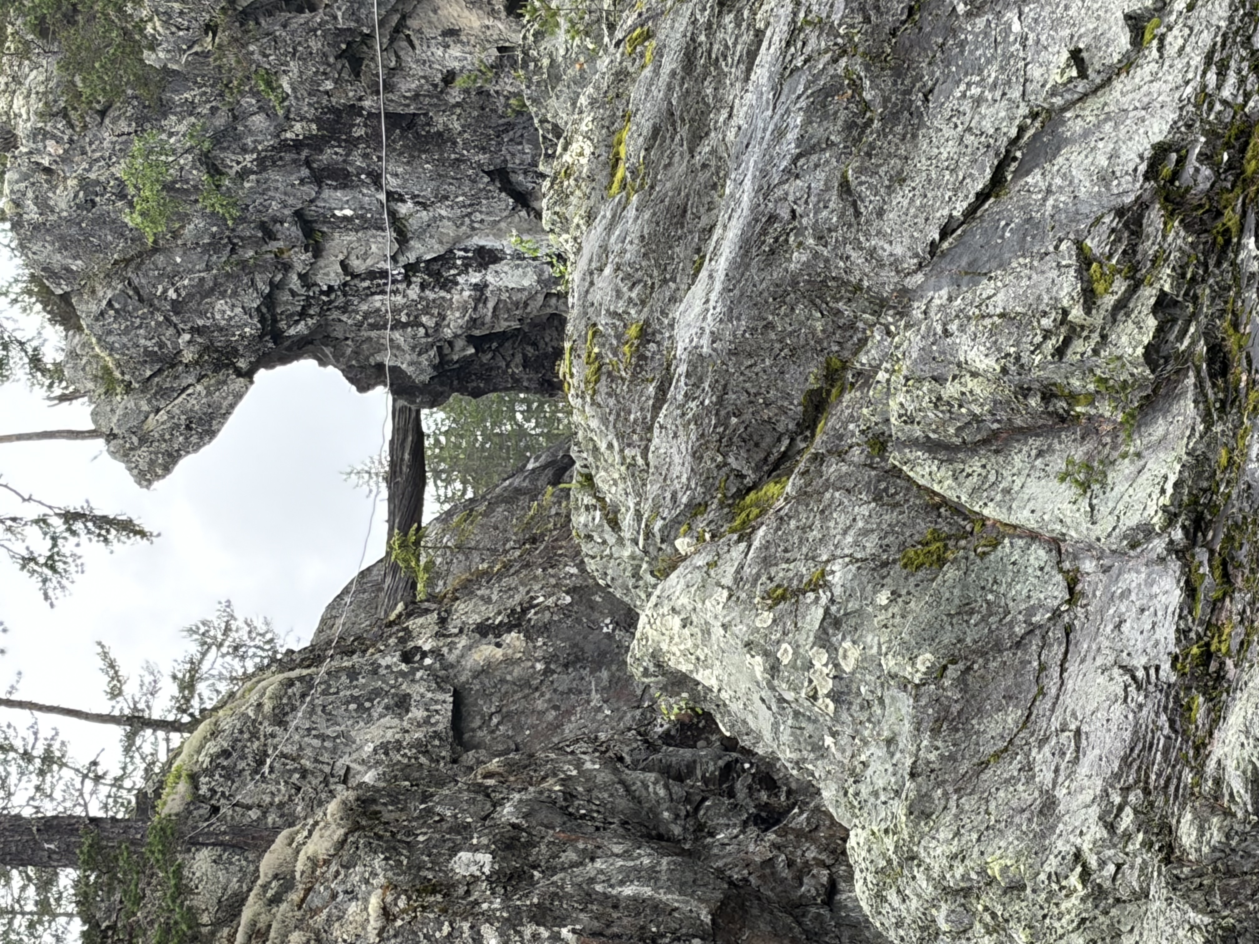 En fjellsprekk med et tre som ligger over i bakgrunnen