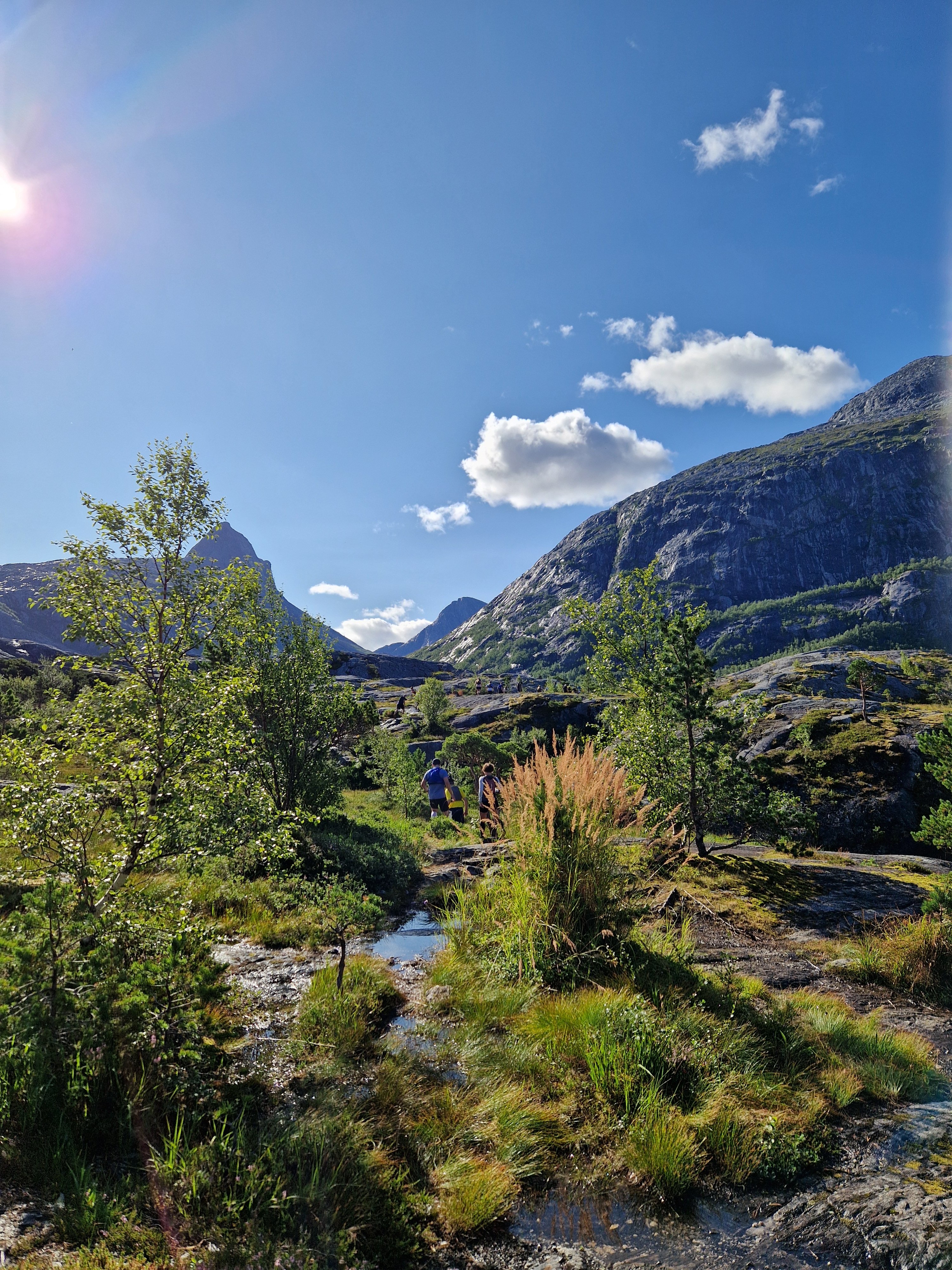 Et fjellandskap med spisse topper, litt furuskog og en gjeng mennesker som løper.