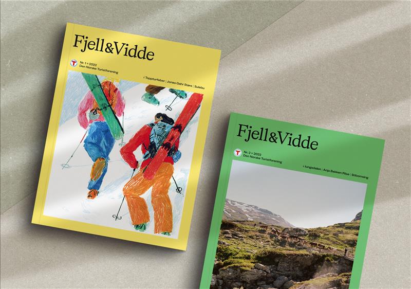 en h&aring;nd som holder en bok foran en fjellkjede