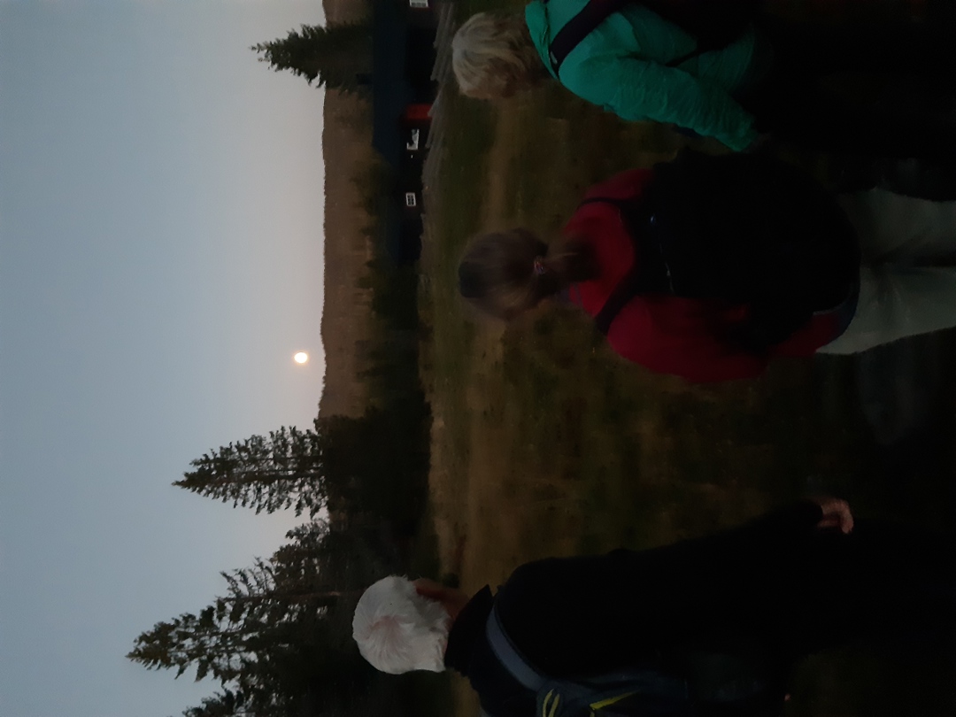 Stemning med deltakerne