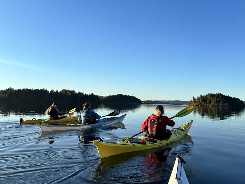 Bildet viser flere som padler på Steinsfjorden