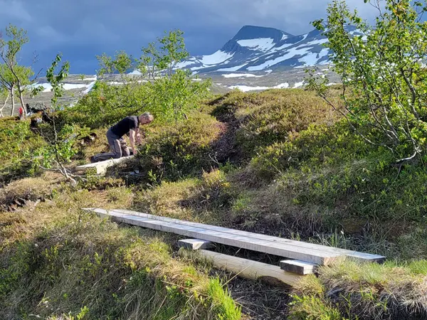 Klopper i myrterreng med Lurfjelltinden i bakgrunnen