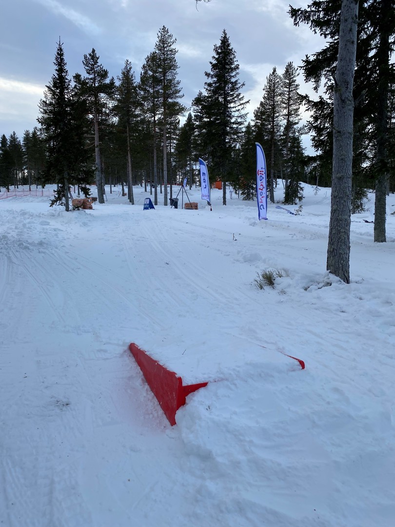 Hopp