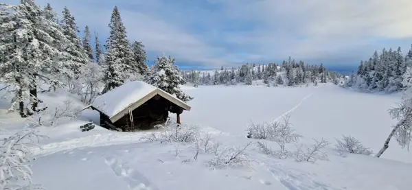 Vinterlandskap med en koselig gapahuk med tilrettelagt bålplass.