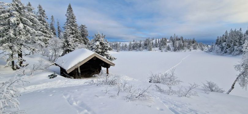 Vinterlandskap med gapahuk og bålplass