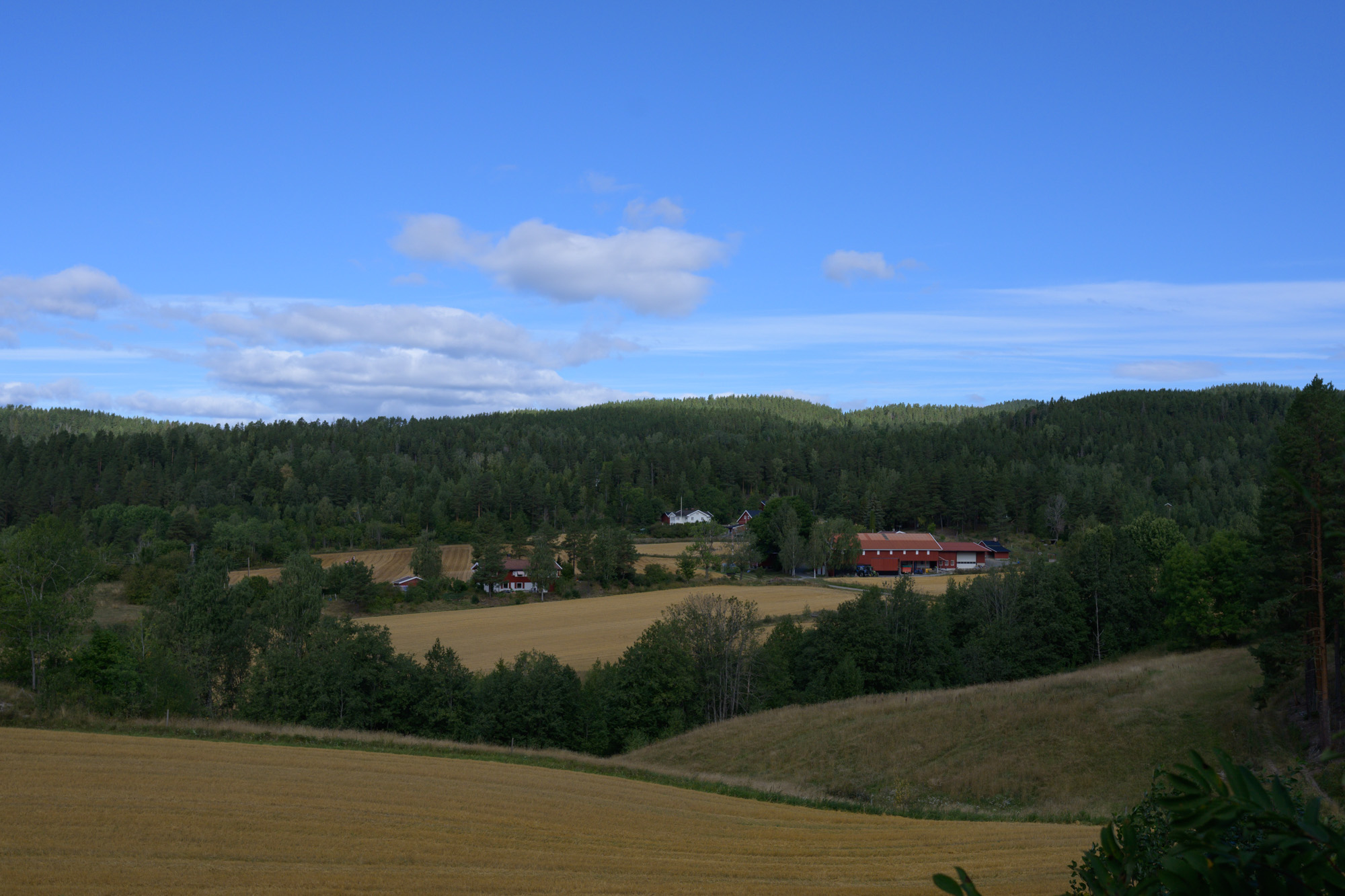 Fint i Åsa