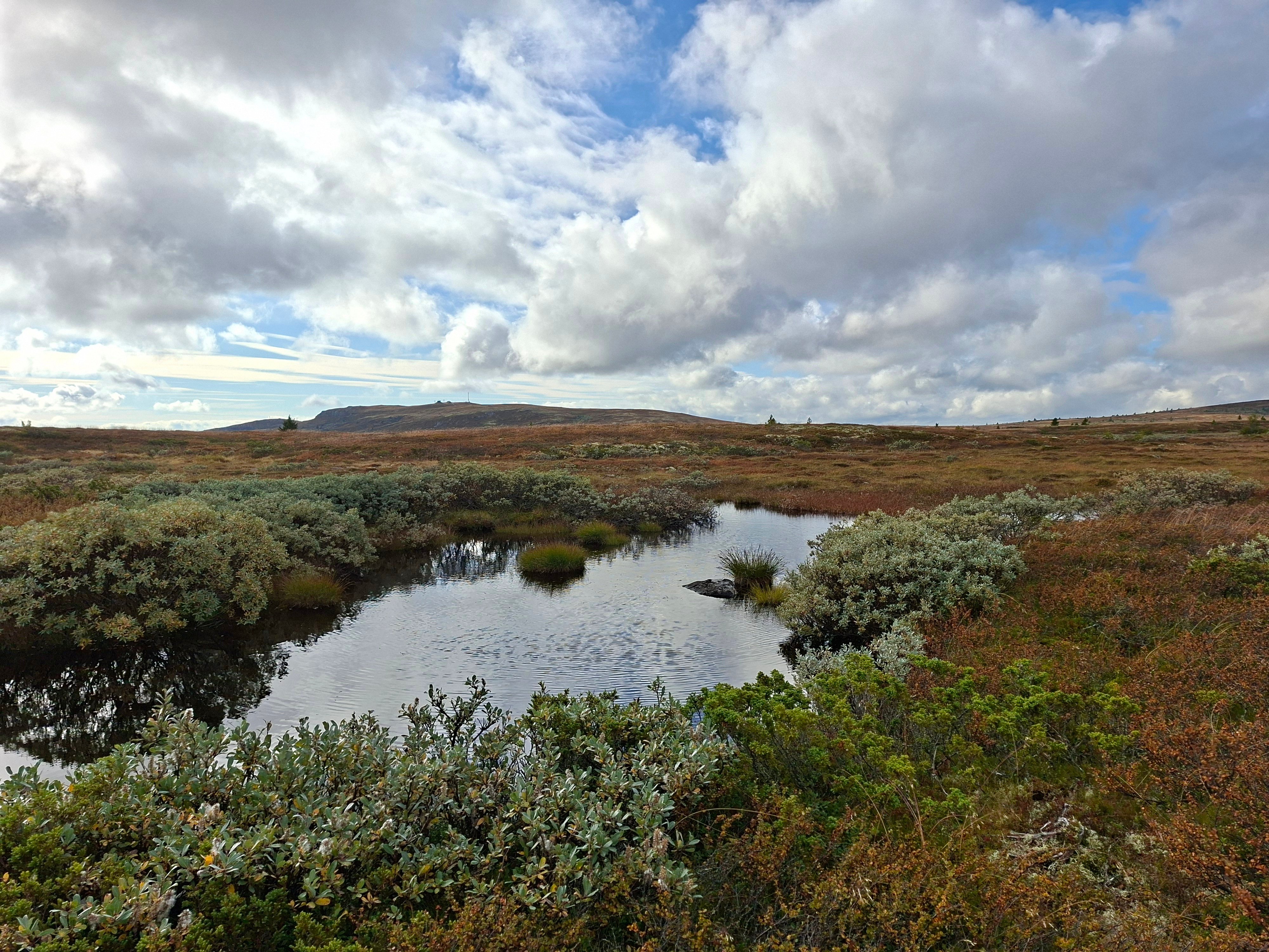 Flotte naturopplevelser